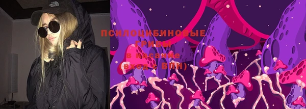 сатива Алзамай