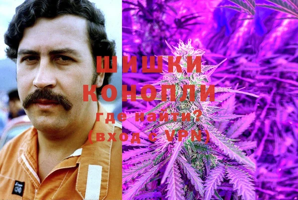 сатива Алзамай